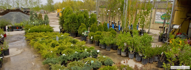 Check out our TREES AND SHRUBS, AND GARDEN CENTRE!